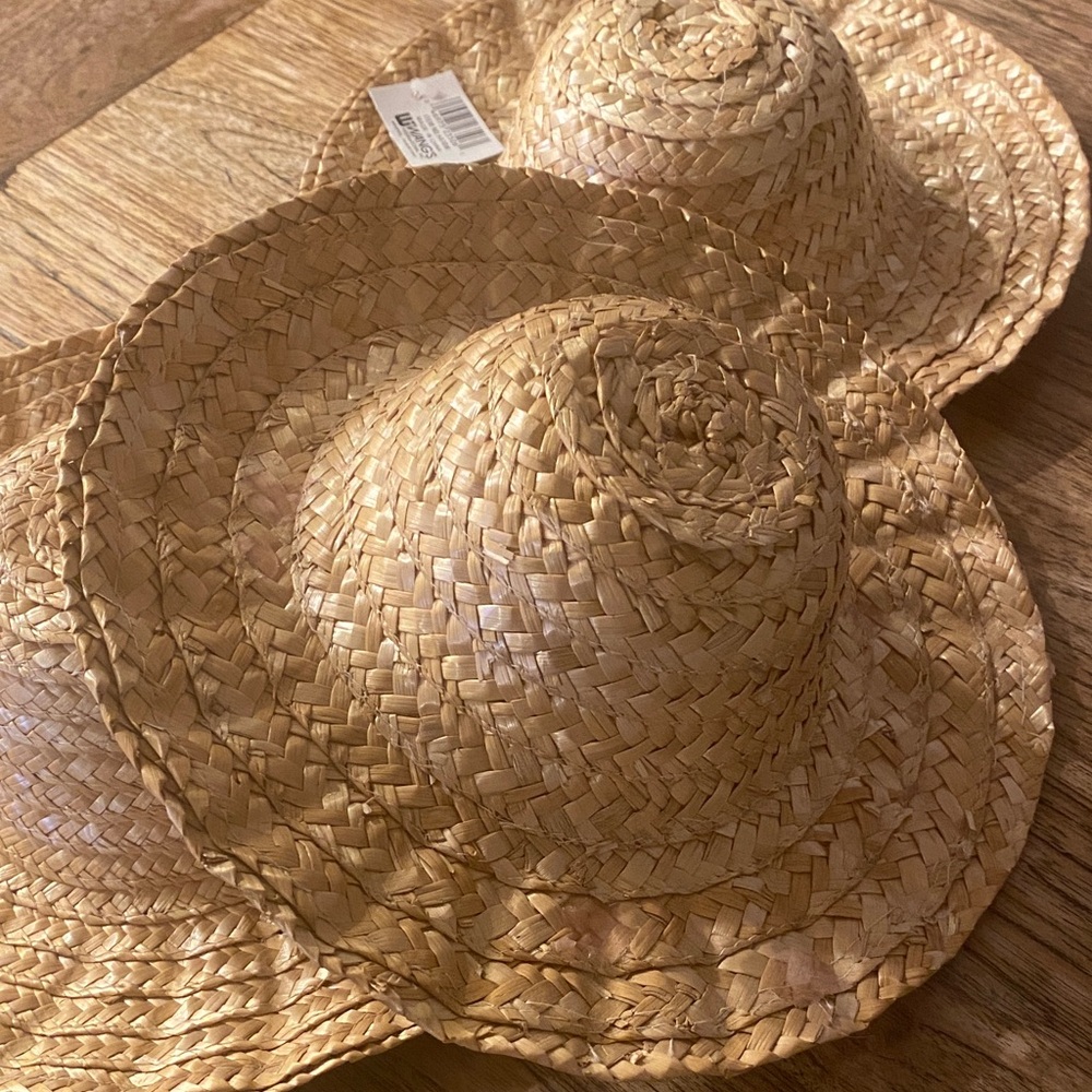 Straw Hats for Crafting – Set of Three